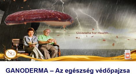 a_ganoderma_az_egeszseg_vedopajzsa..jpg