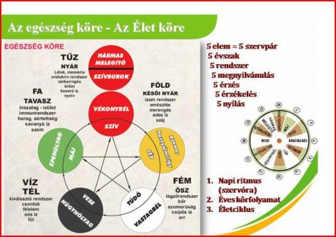 Ot Elem Kore Es Tana Az Egeszseg Jegyeben