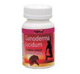 ganoderma.jpg