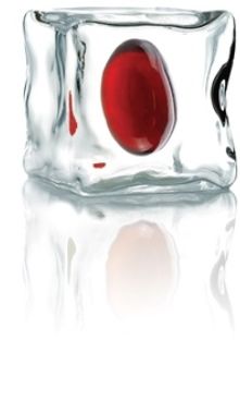 icecube_cropped_small_3.jpg