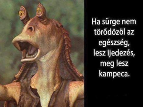 kampeca_1.jpg