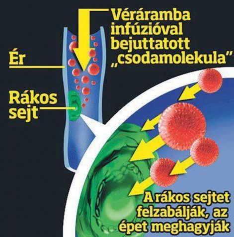 veraramba_kerulo_vitamin.jpg